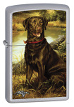 Zippo 24781 - Zippo/Zippo Lighters