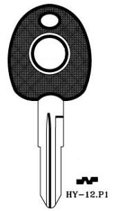 Hook 3109: TP00HY-12P..empty transponder - Keys/Transponder Pods