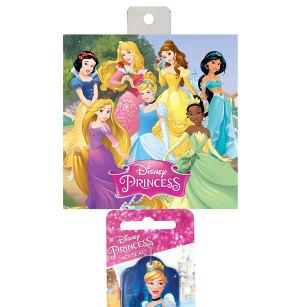 CLP17 - Disney KEY BLANK CLIP STRIP EMPTY