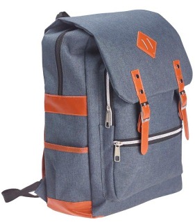 2595 Modernist Back Pack