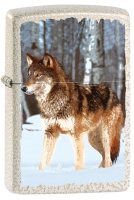 Zippo 60005579 49181-081346 Wolf in Snowy Forest Design - Zippo/Zippo Lighters
