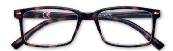 31Z B21 Dem Zippo Reading Glasses