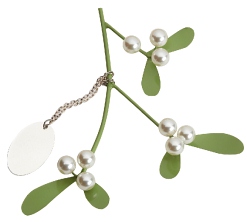 R7765B Mistletoe with engraving Plate XMAS GIFT