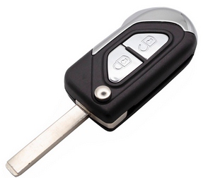 Hook 4530 GTL DS3 Remote Case (with Black Cap) CTRC13 - Keys/Remote Fobs